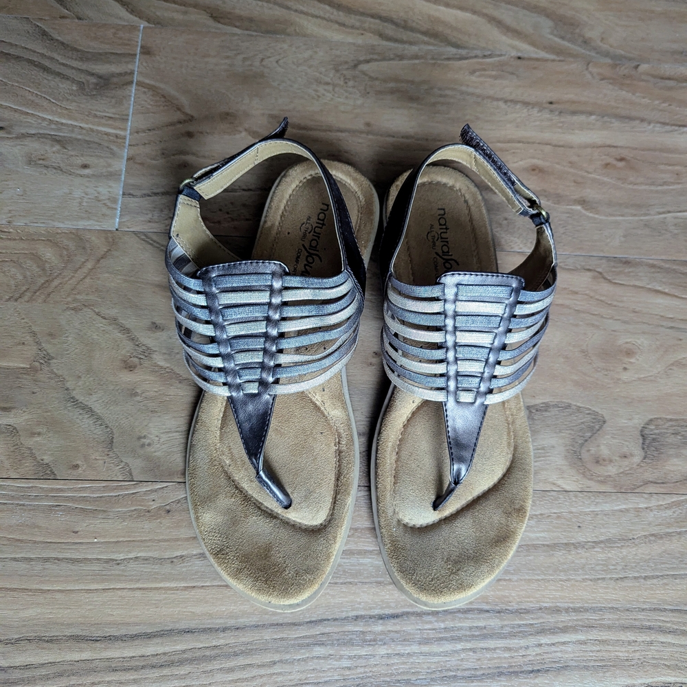 Natural Soul Women's Sandals - Brown and Silver